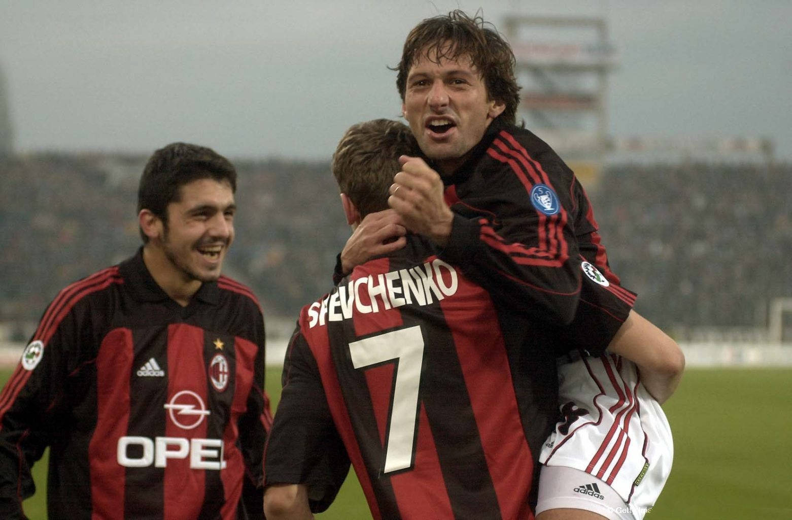 多点开花的 多点开花的