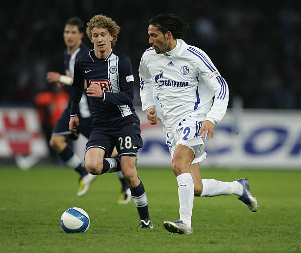 或许会带来 或许会带来